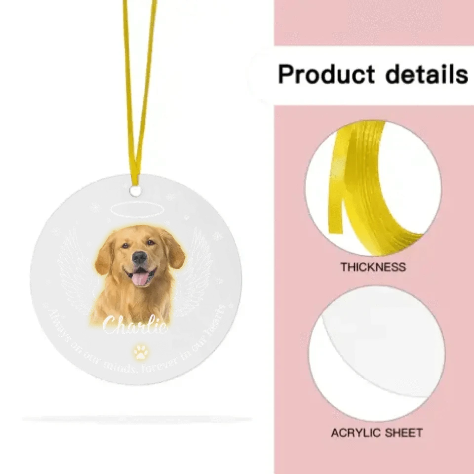 Personalized Memorial Acrylic Ornament Pet Photo Paw Prints In Our Hearts - Gift for Pet Lovers