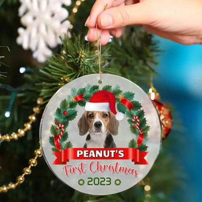 Custom Photo Pawsitively Excited For The First Christmas - Dog & Cat Personalized Custom Ornament
