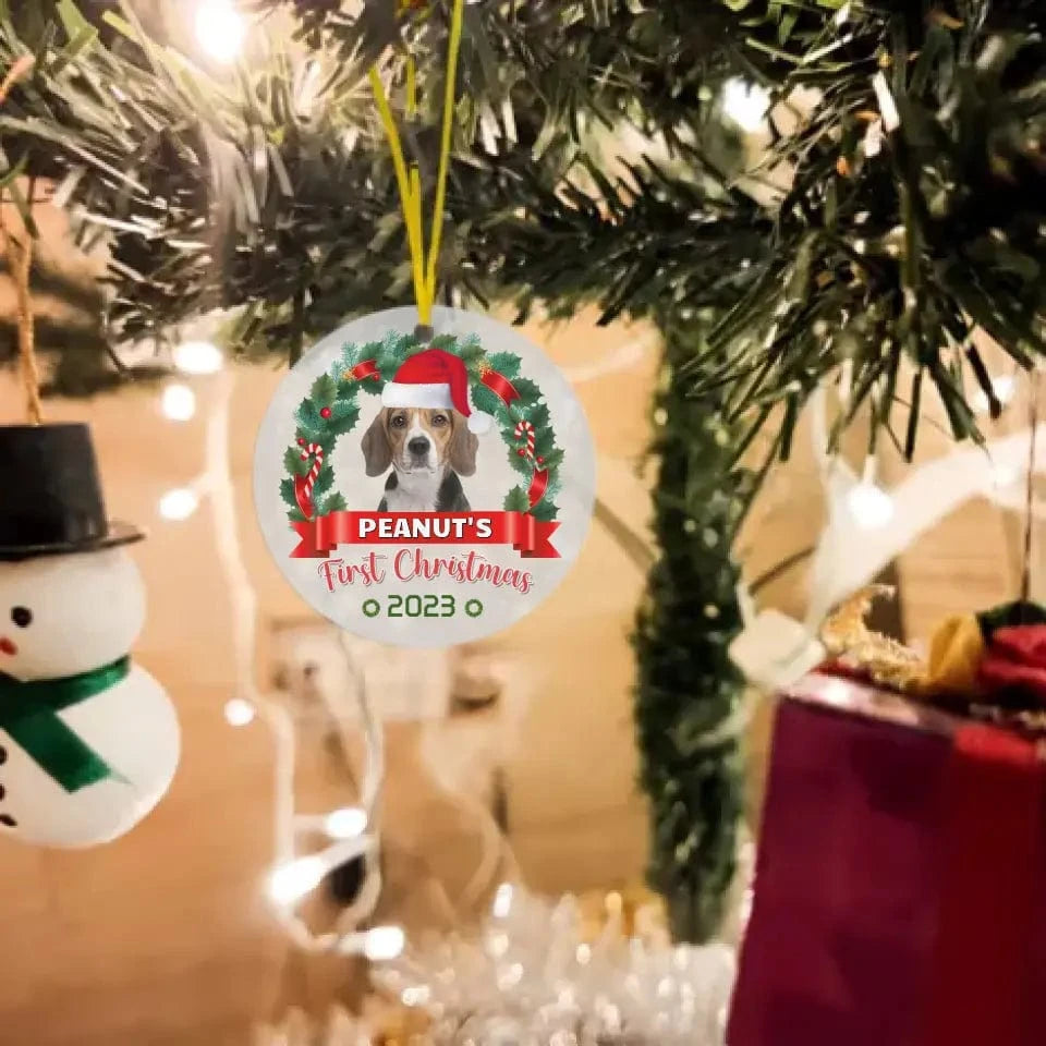 Custom Photo Pawsitively Excited For The First Christmas - Dog & Cat Personalized Custom Ornament
