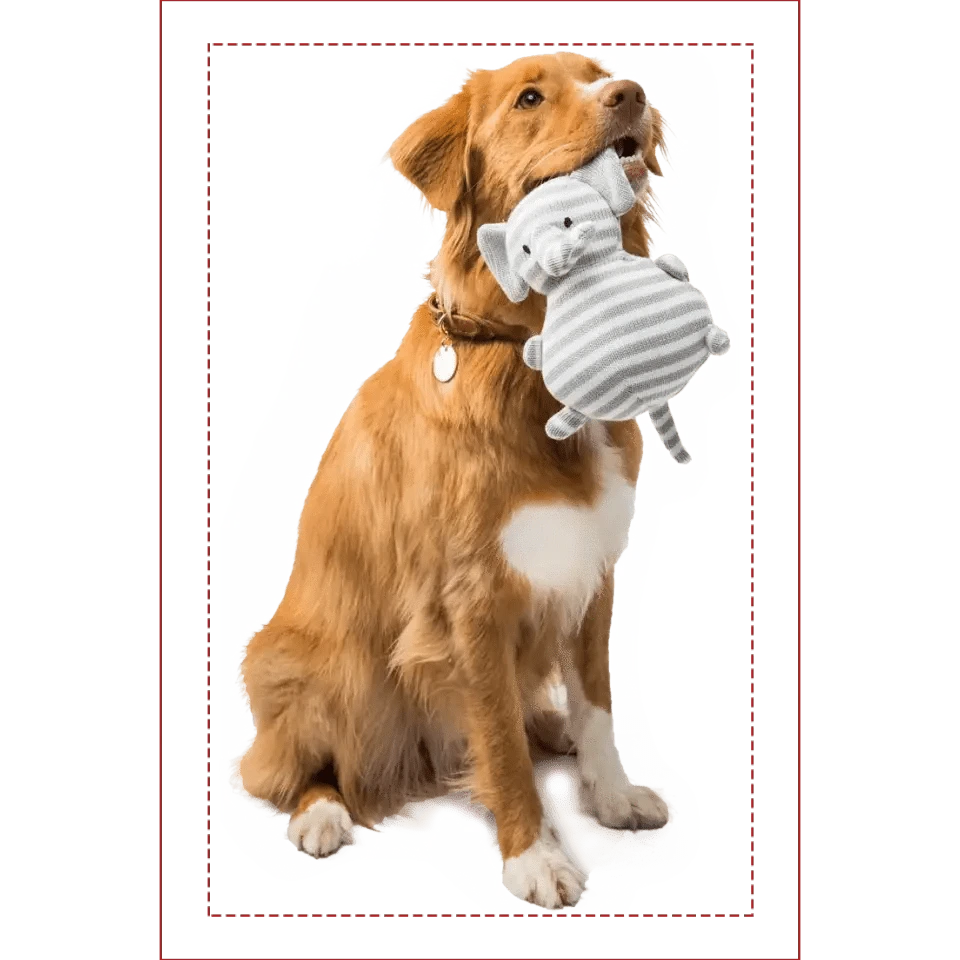 Custom Photo Pillow - Gift For Friends, Lovers, Husband, Wife And Dog & Cat Pet Lovers - Personalized Custom Shape Pillow