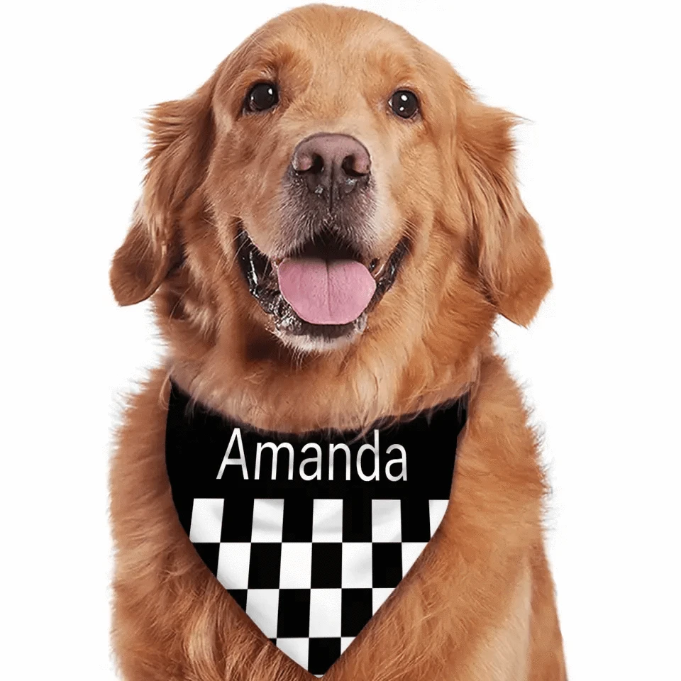 Custom Cats and Dogs Name Triangle Bib Bandana, Gift For Dogs