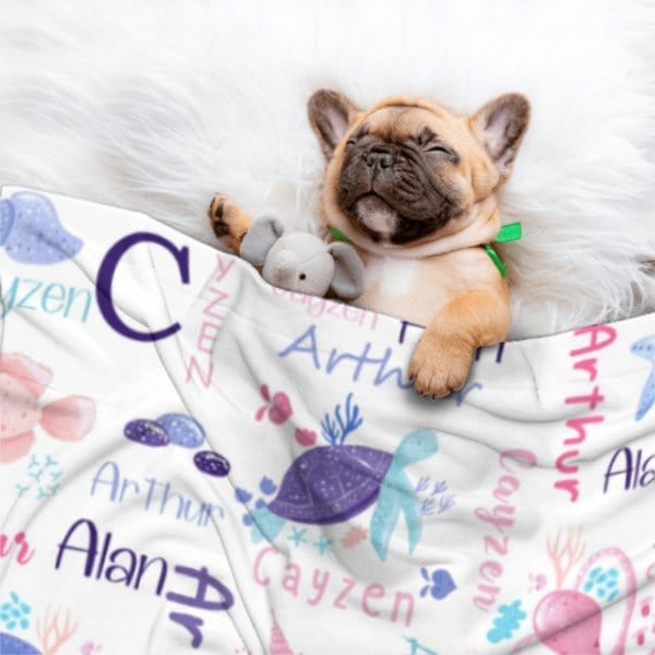 Personalized Sea Animal Blanket - Baby Birthday Gift - Virudhaka
